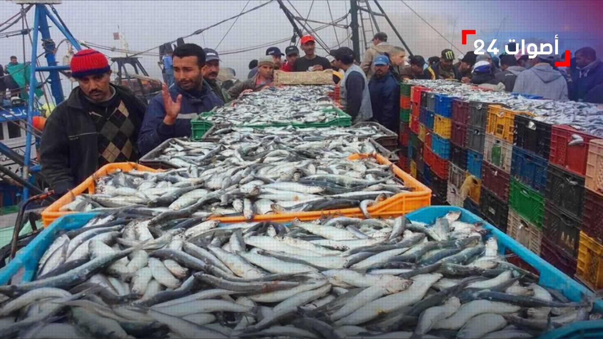 وصل ثمنه 25 درهم.. "السردين" لم يعد يتصدر موائد الإفطار لأغلب الأسر المغربية