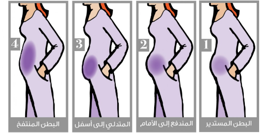 رجيم البطن حسب شكل بطنك.. تعرف على التفاصيل
